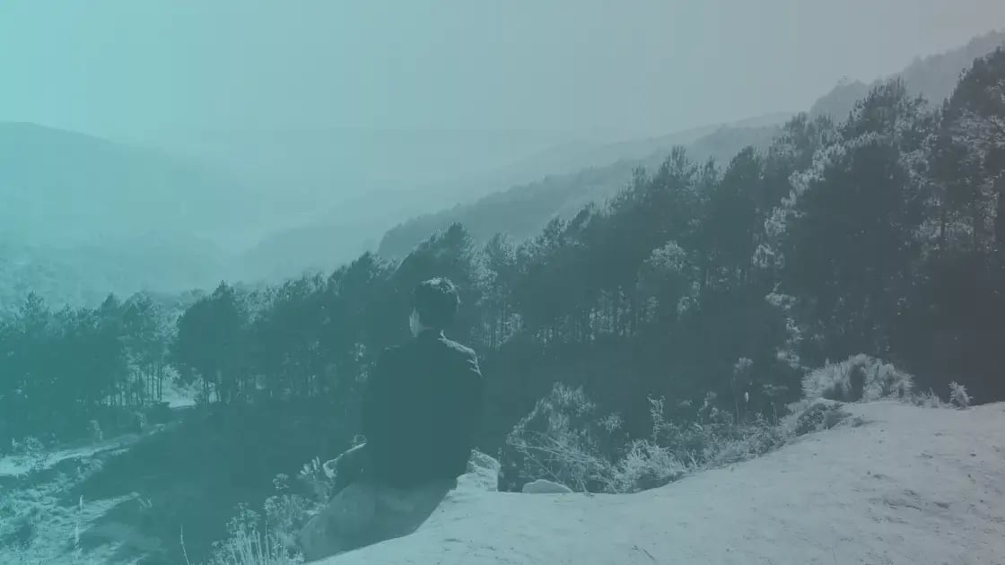 Canva pricing Canva pricing