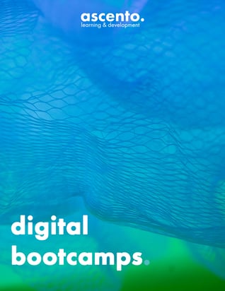 DIGITAL BOOTCAMPS LP IMAGE