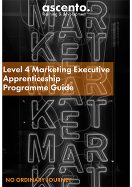 Marketing Exec Guide Image
