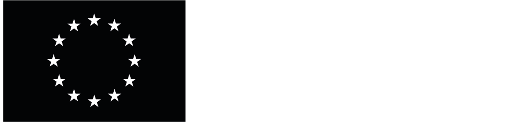 European Social Fund Logo in White